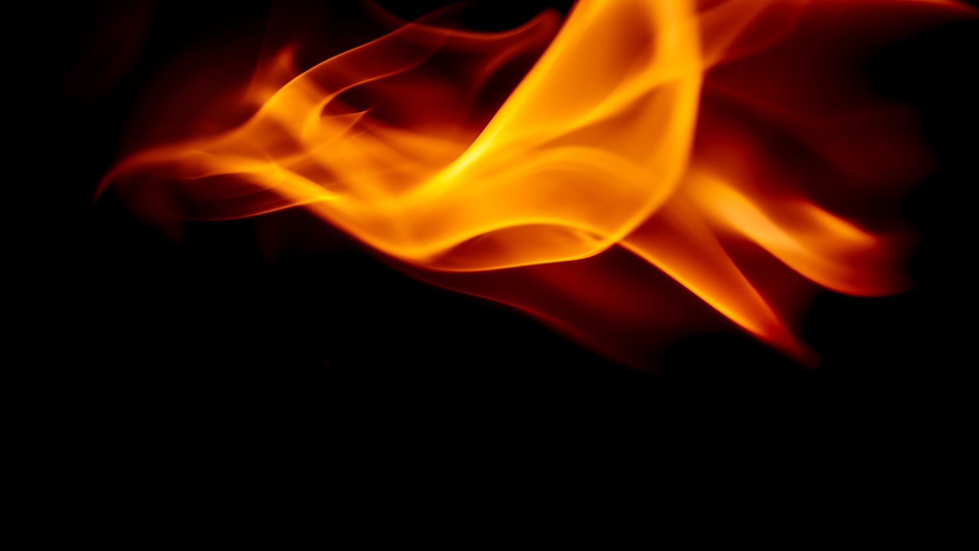 An image of a bird rendered in flames