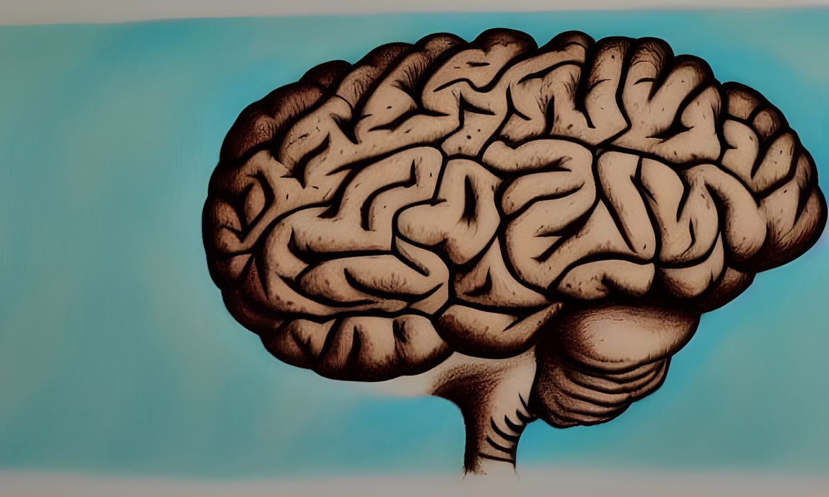 A color pencil drawing of the human brain, outlined in black on a blue background
